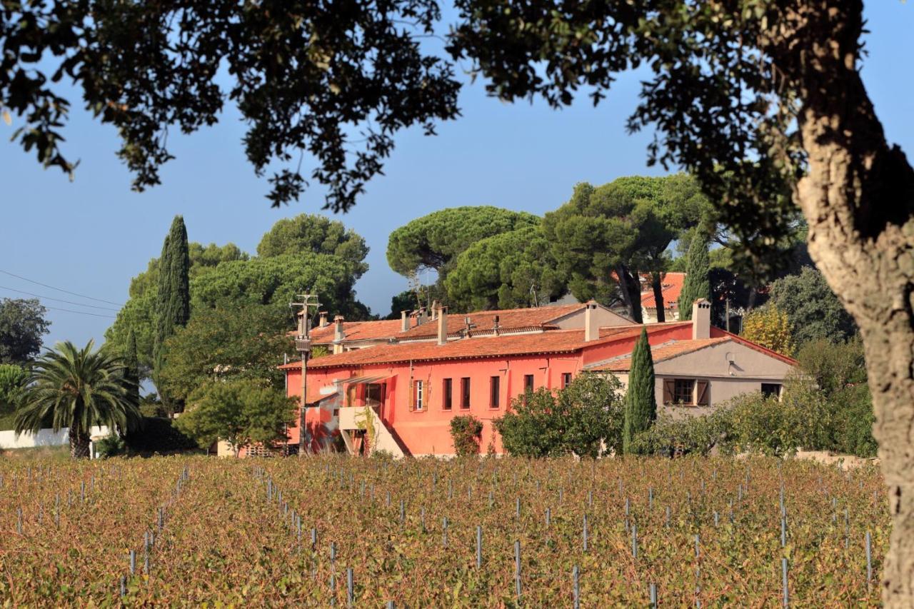 Le Des Cinq Cepages Holiday home